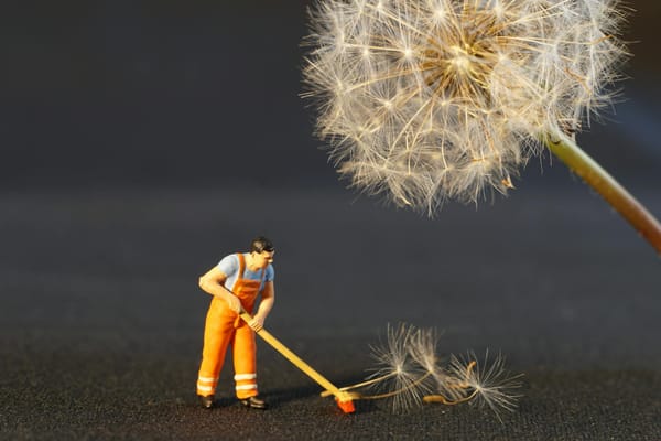 Selective Efficiency: The Bureaucratic Bait-and-Switch